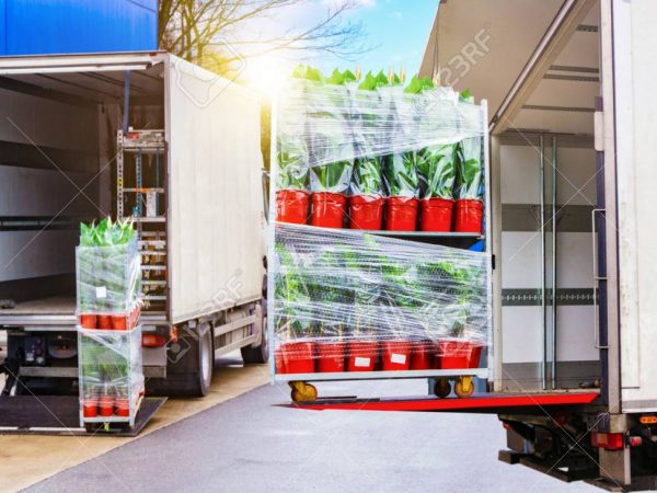 118760159-open-delivery-truck-loaded-with-pot-plants-pallets-there-is-a-loading-for-the-truck-trailer-transpor